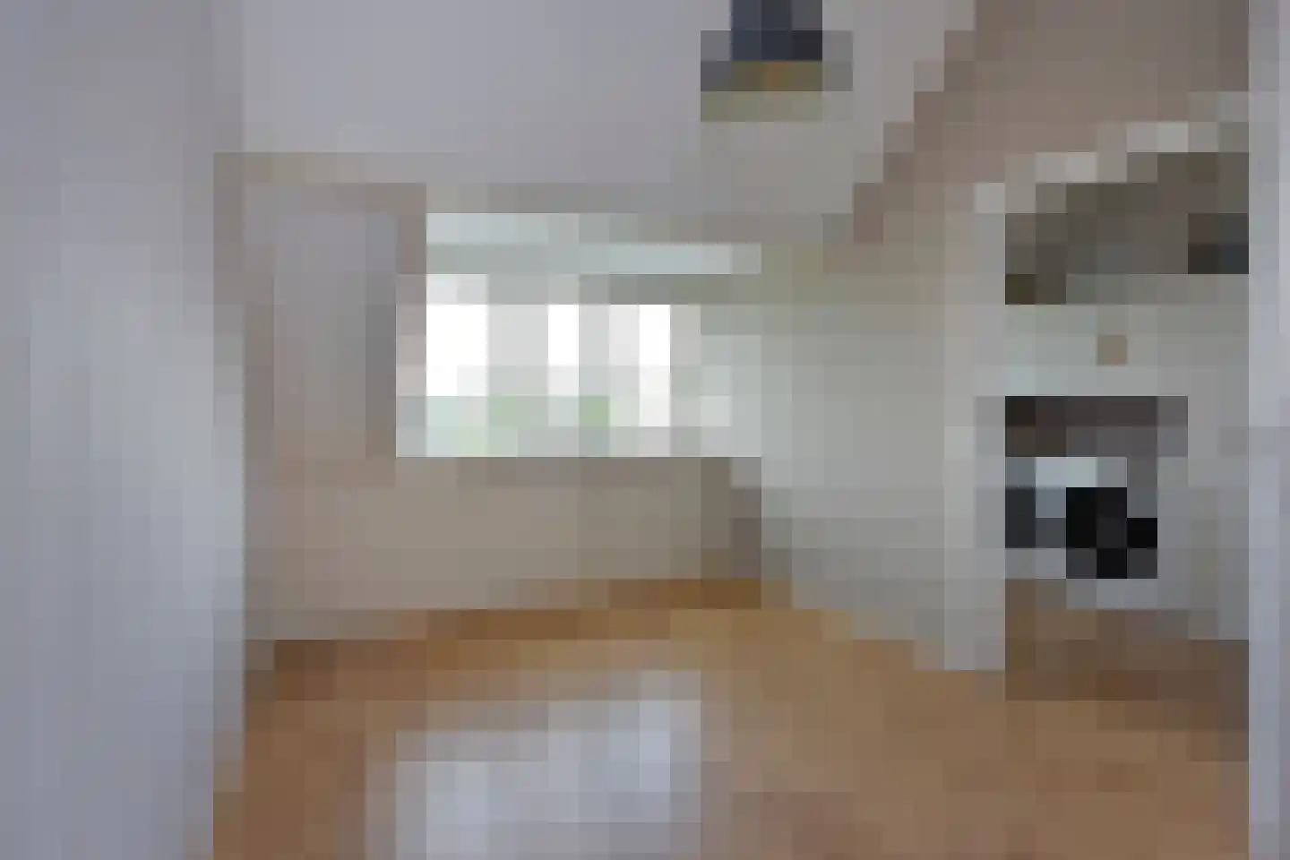 Walnootstraat 32 Ter Aar thumbnail 25