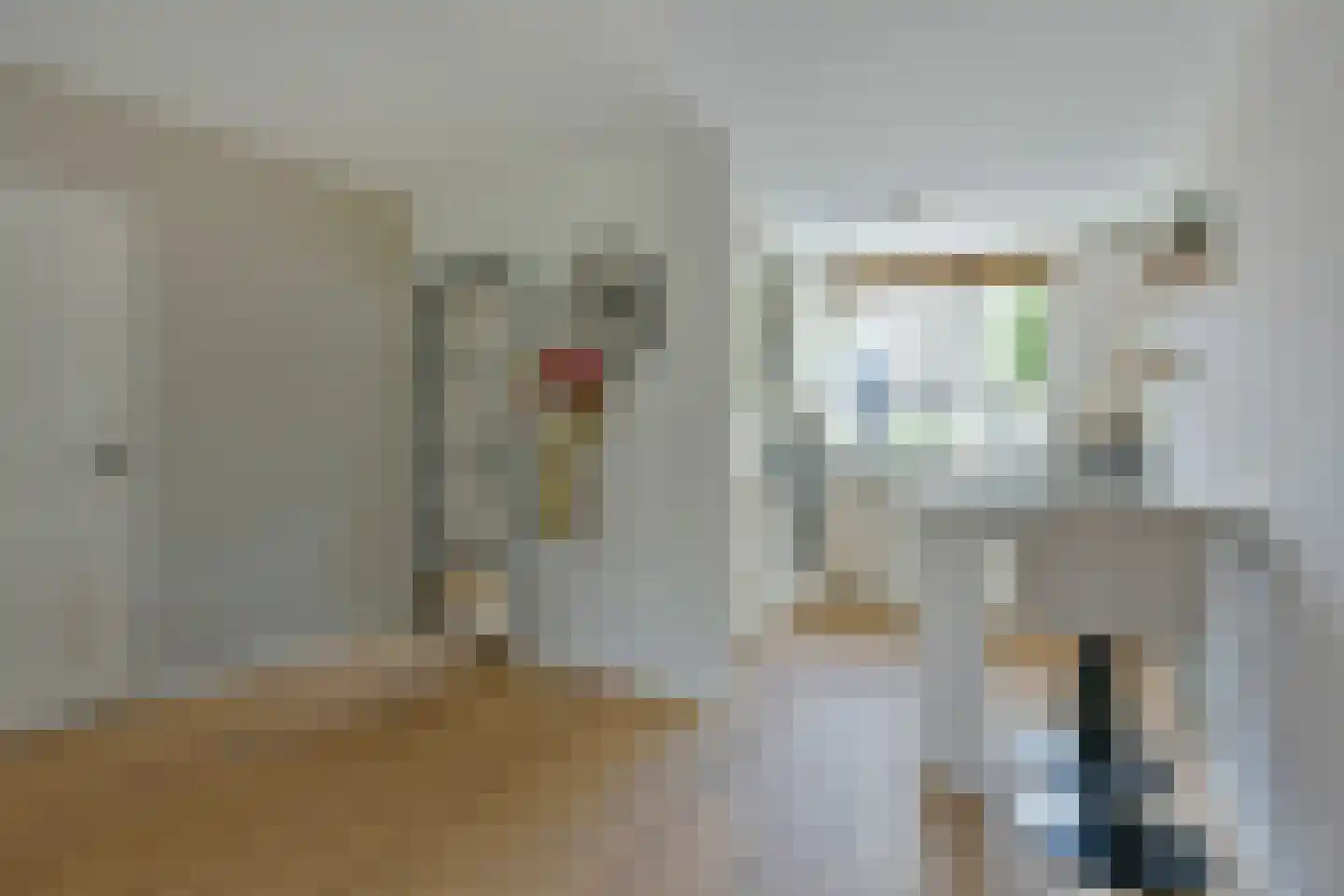 Walnootstraat 32 Ter Aar thumbnail 8