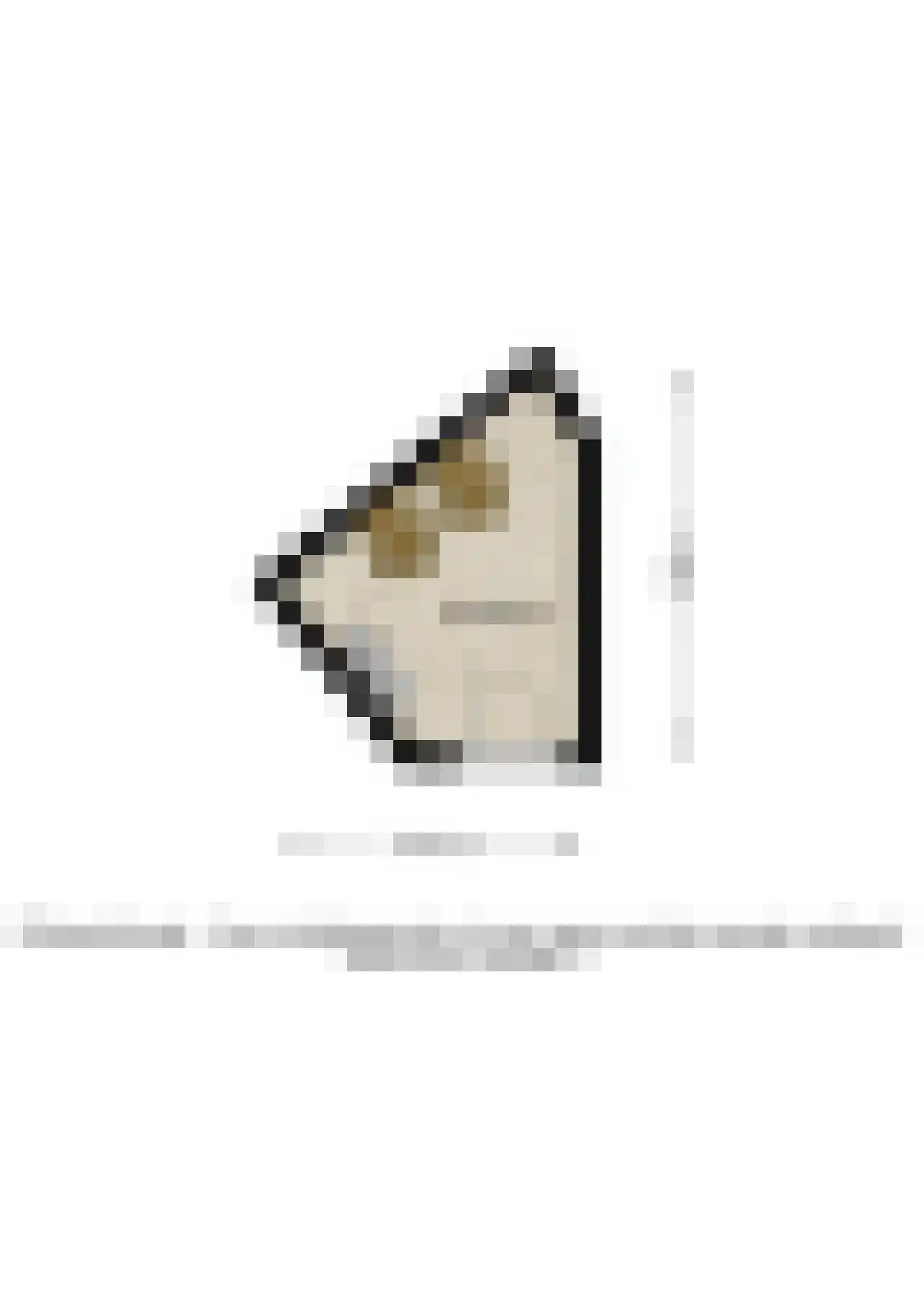 Walnootstraat 57 Hengelo thumbnail 34