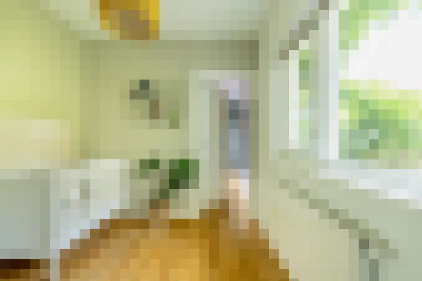 Walnootstraat 6 Utrecht thumbnail 19