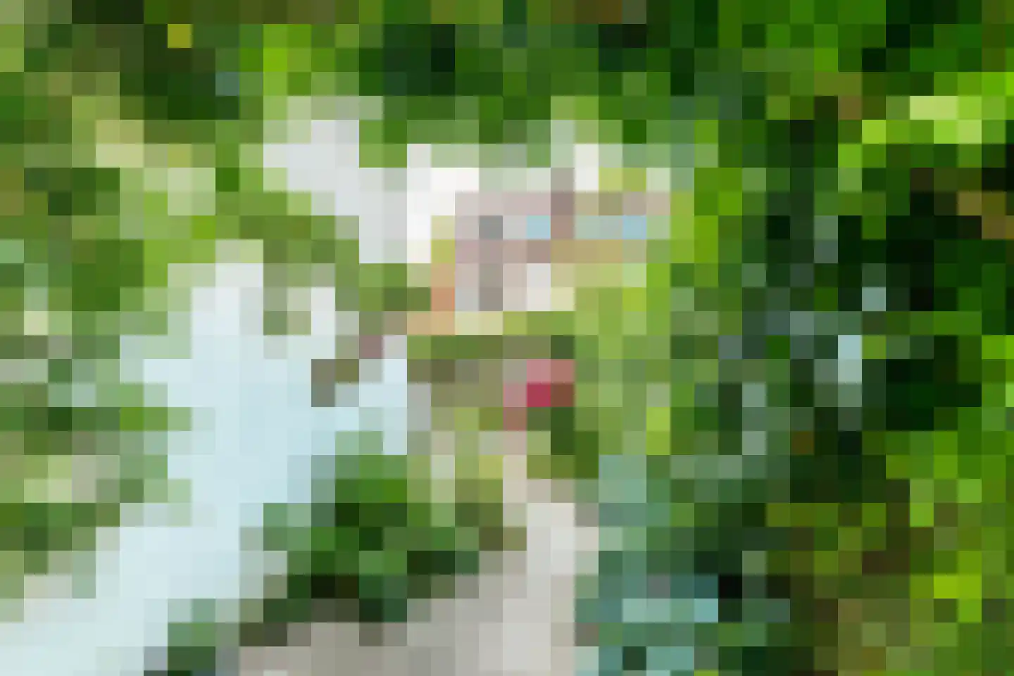Walnootstraat 6 Utrecht thumbnail 22