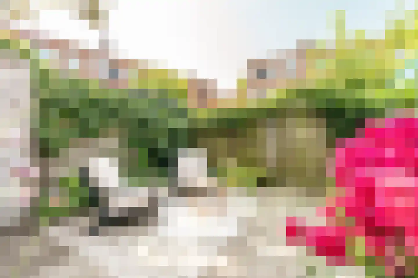 Walnootstraat 6 Utrecht thumbnail 24