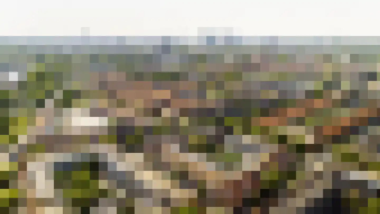 Walnootstraat 6 Utrecht thumbnail 32