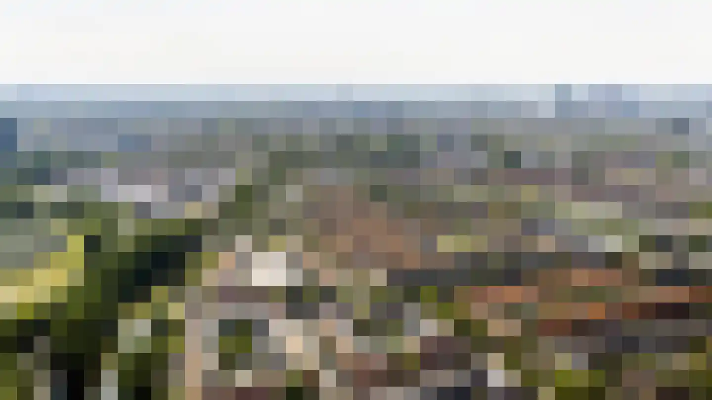 Walnootstraat 6 Utrecht thumbnail 33