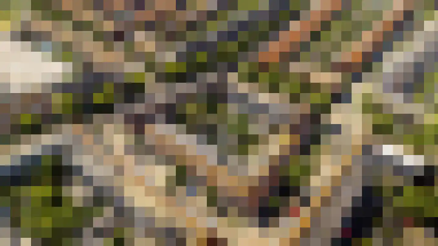 Walnootstraat 6 Utrecht thumbnail 34