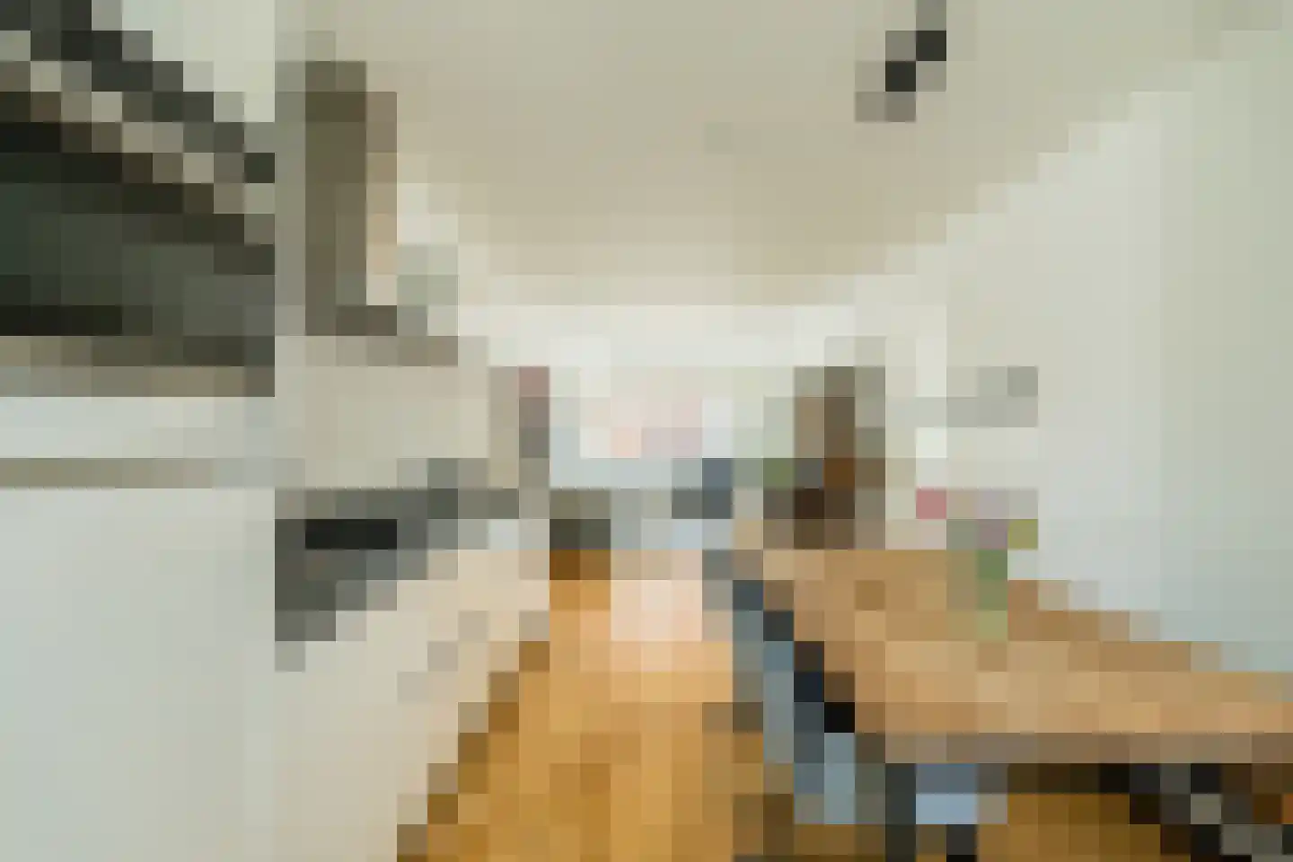 Walnootstraat 6 Utrecht thumbnail 6