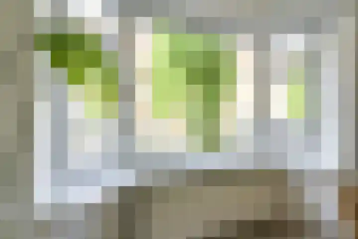 Walnootstraat 9 Utrecht thumbnail 10
