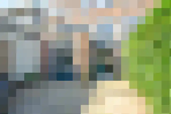 Walnootstraat 9 Utrecht thumbnail 26
