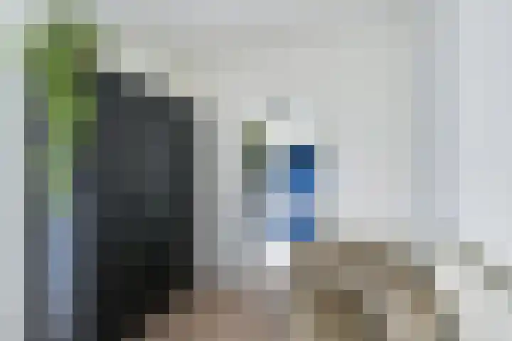 Walnootstraat 9 Utrecht thumbnail 28