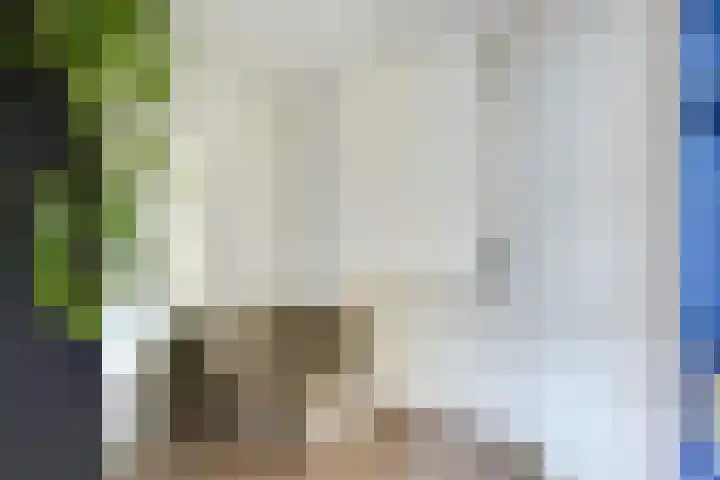 Walnootstraat 9 Utrecht thumbnail 30