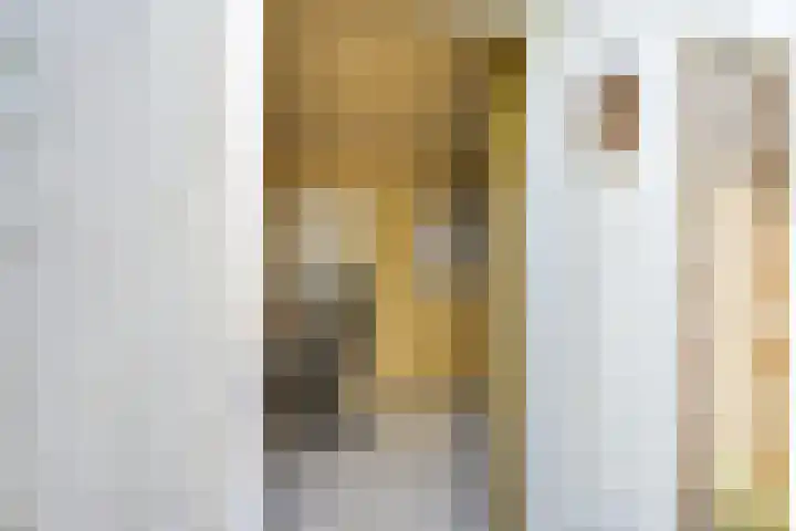 Walnootstraat 9 Utrecht thumbnail 37
