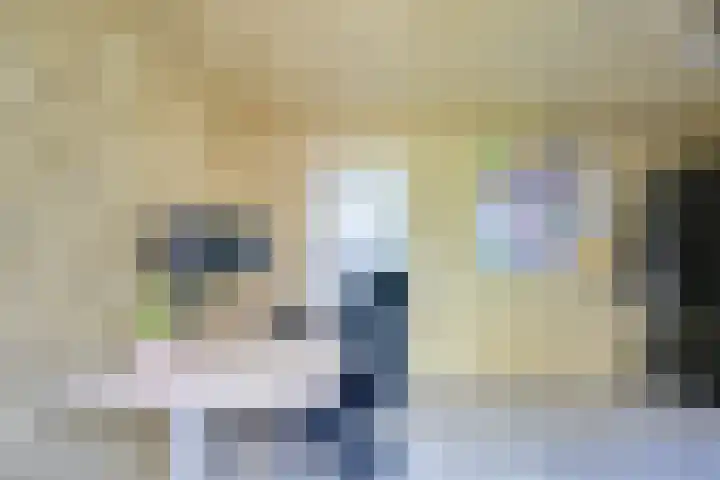 Walnootstraat 9 Utrecht thumbnail 38