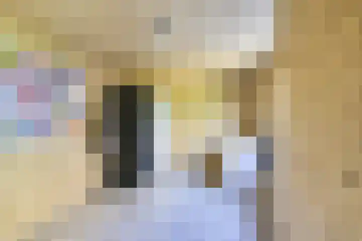 Walnootstraat 9 Utrecht thumbnail 39