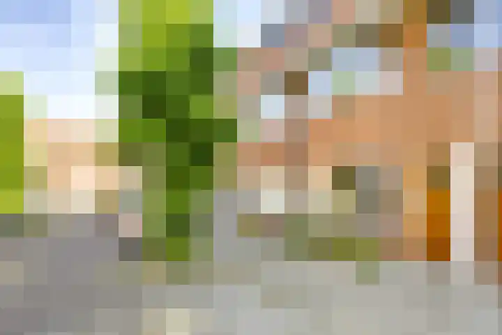 Walnootstraat 9 Utrecht thumbnail 42