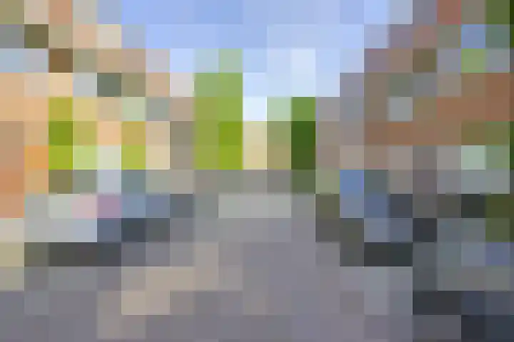 Walnootstraat 9 Utrecht thumbnail 43