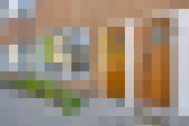 Walnootstraat 9 Utrecht thumbnail 6