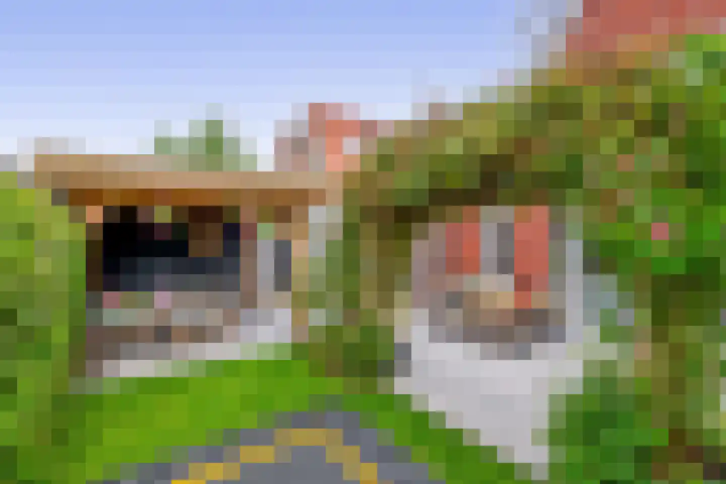 Walpen 3 Moerkapelle thumbnail 43
