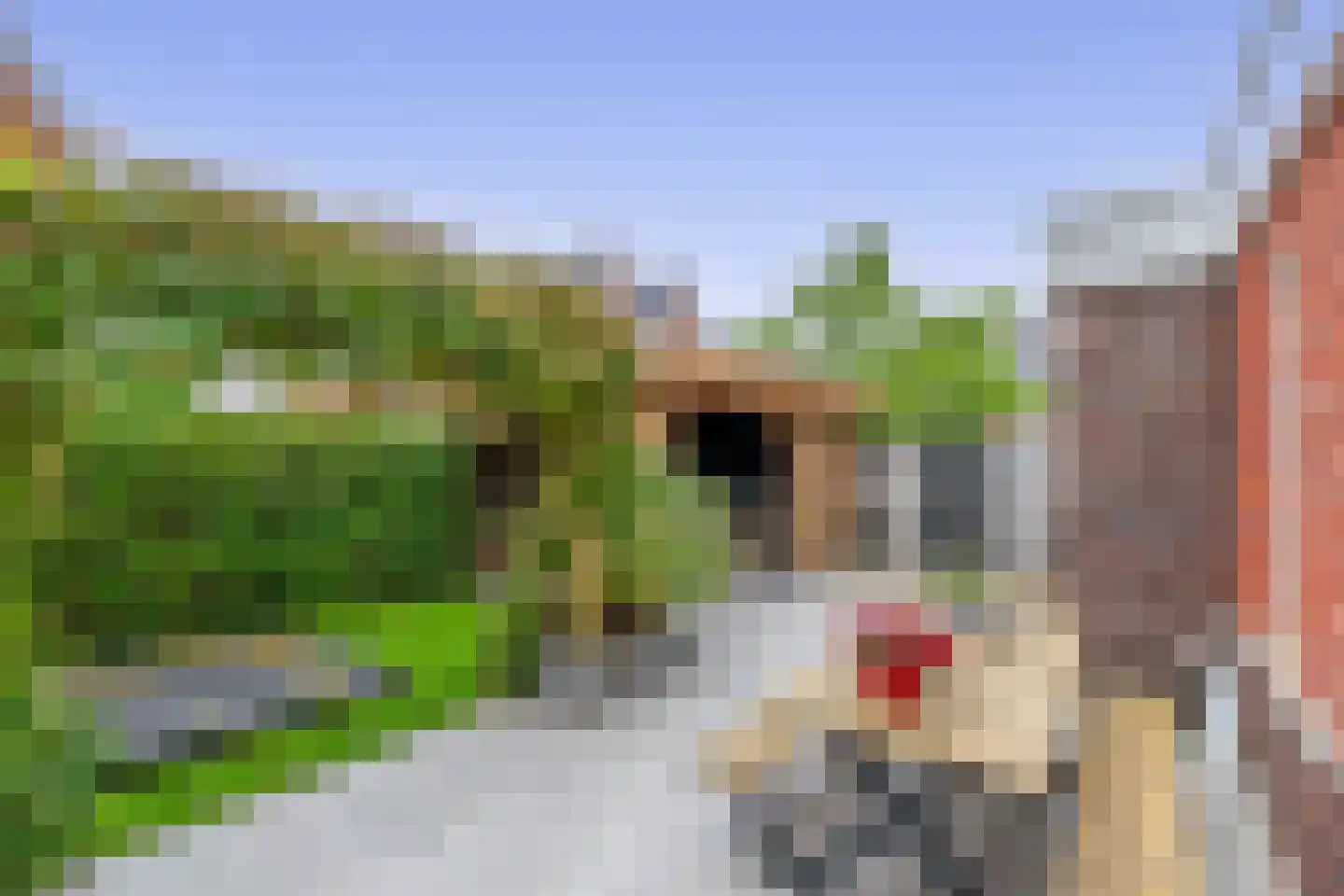 Walpen 3 Moerkapelle thumbnail 44
