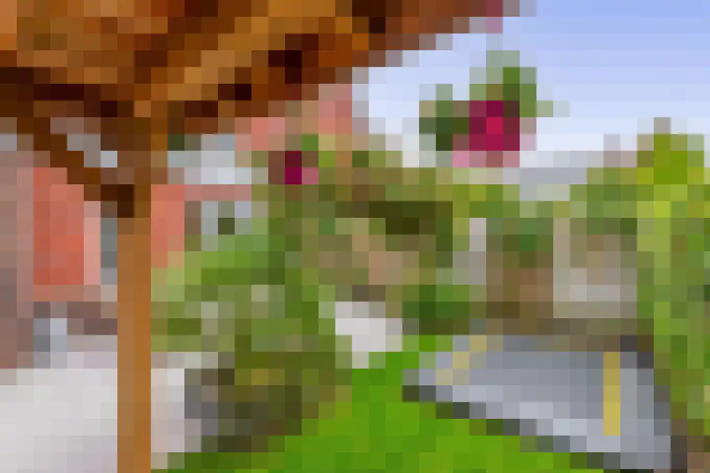 Walpen 3 Moerkapelle thumbnail 45