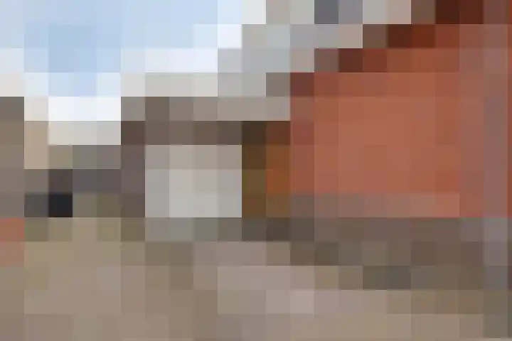Walpen 4 Moerkapelle thumbnail 10