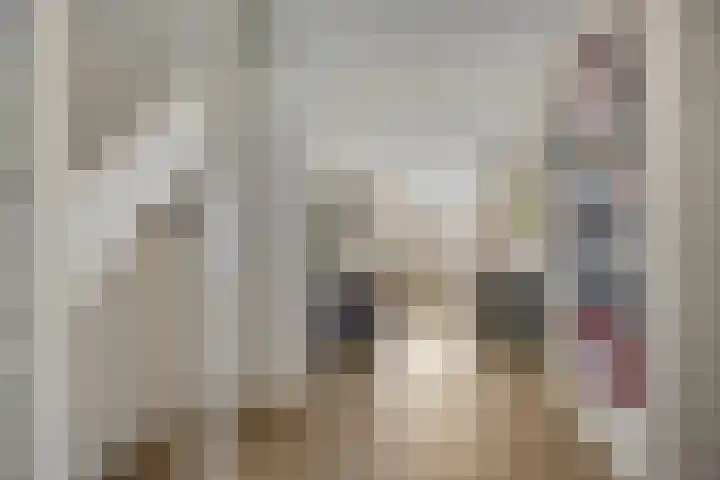 Walpen 4 Moerkapelle thumbnail 20