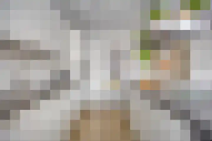 Walpen 4 Moerkapelle thumbnail 22