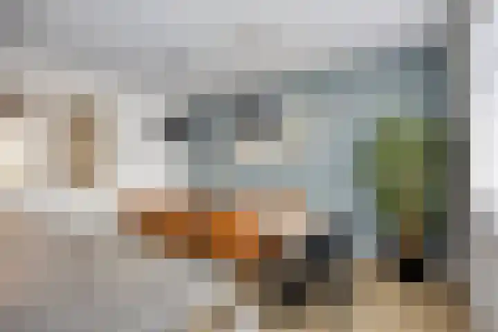 Walpen 4 Moerkapelle thumbnail 23