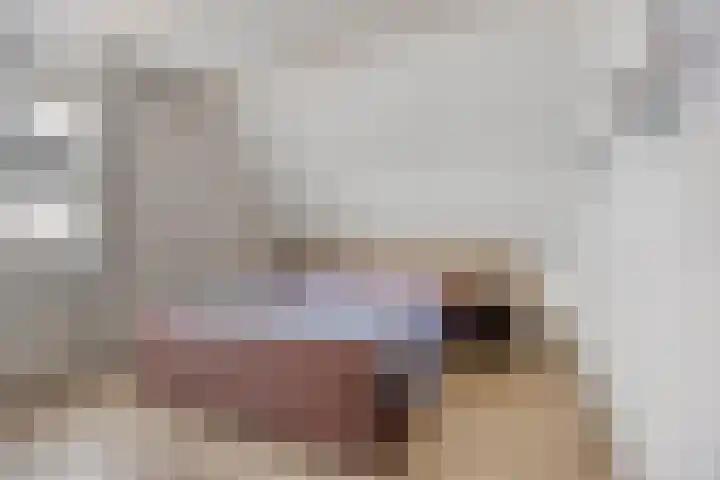 Walpen 4 Moerkapelle thumbnail 30