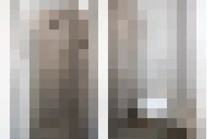 Walpen 4 Moerkapelle thumbnail 36
