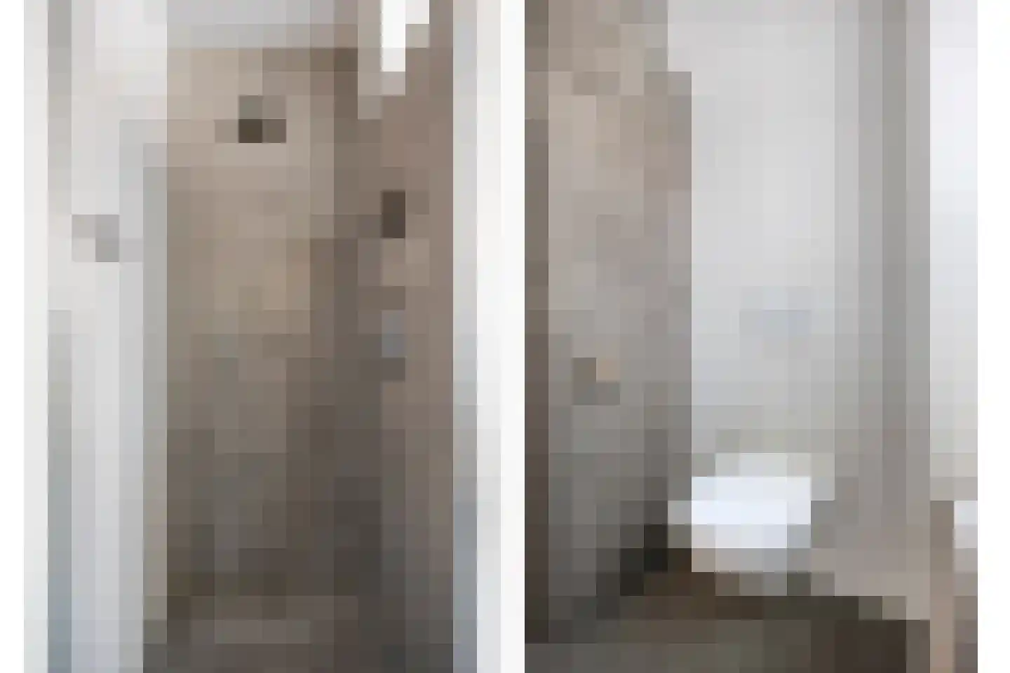 Walpen 4 Moerkapelle thumbnail 36