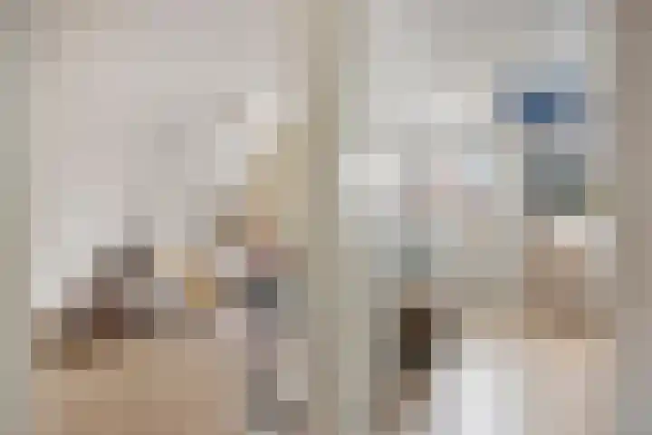 Walpen 4 Moerkapelle thumbnail 37