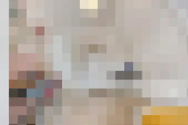 Walpen 4 Moerkapelle thumbnail 43