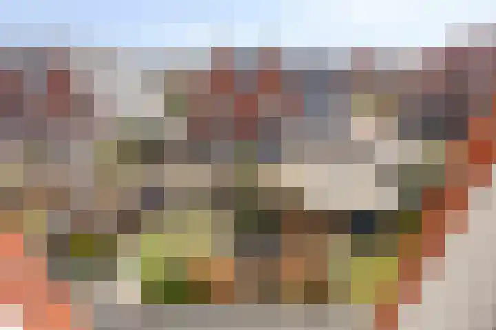 Walpen 4 Moerkapelle thumbnail 44