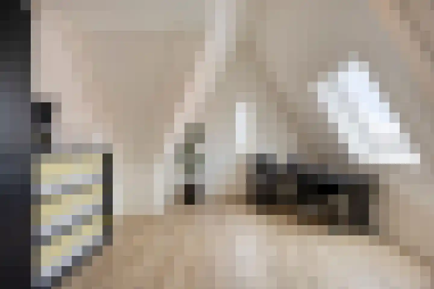 Walpen 4 Moerkapelle thumbnail 48