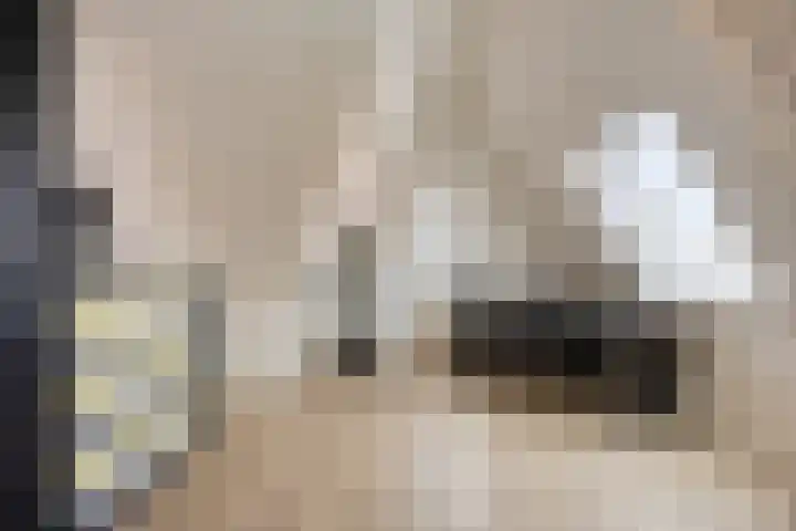 Walpen 4 Moerkapelle thumbnail 48