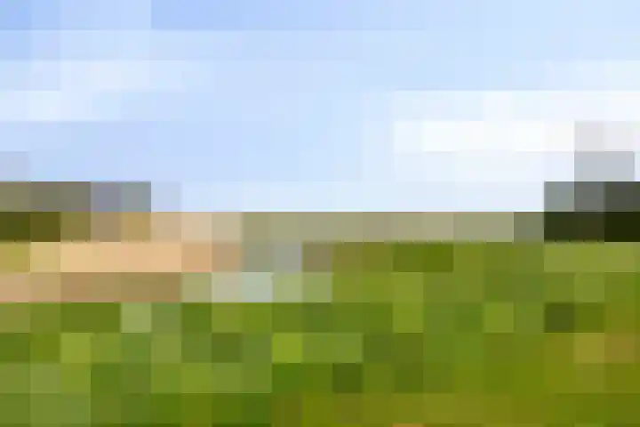 Walpen 4 Moerkapelle thumbnail 5