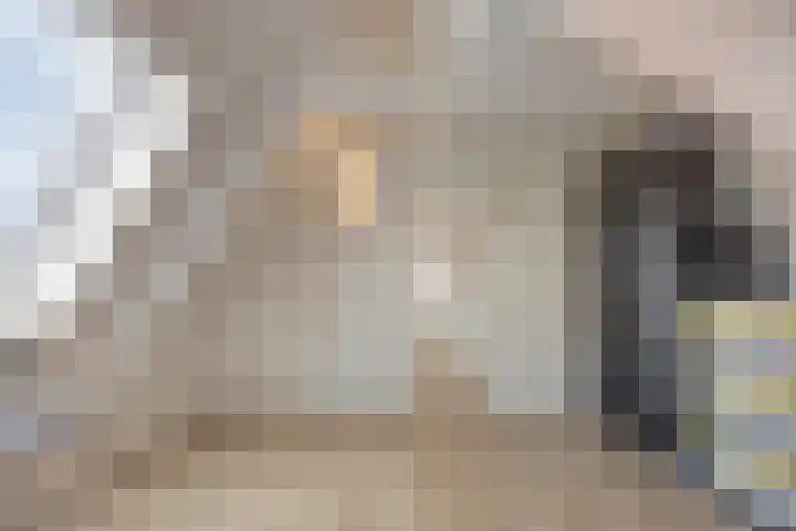 Walpen 4 Moerkapelle thumbnail 50