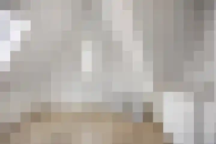 Walpen 4 Moerkapelle thumbnail 51