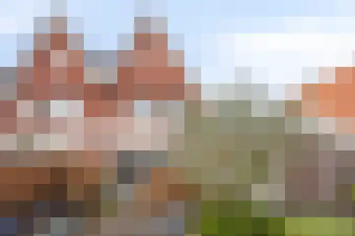 Walpen 4 Moerkapelle thumbnail 53