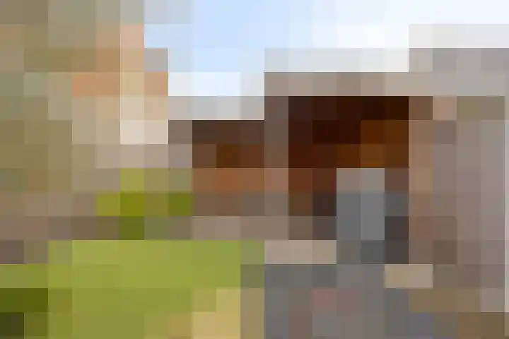 Walpen 4 Moerkapelle thumbnail 56