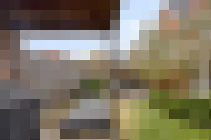 Walpen 4 Moerkapelle thumbnail 57