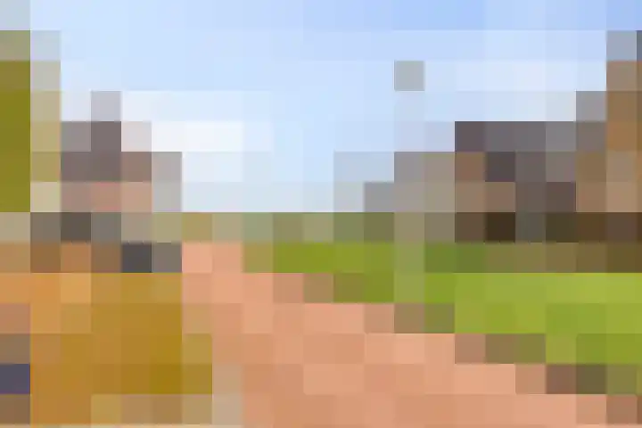 Walpen 4 Moerkapelle thumbnail 58