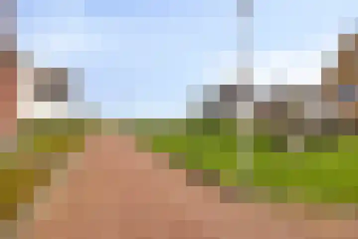 Walpen 4 Moerkapelle thumbnail 59