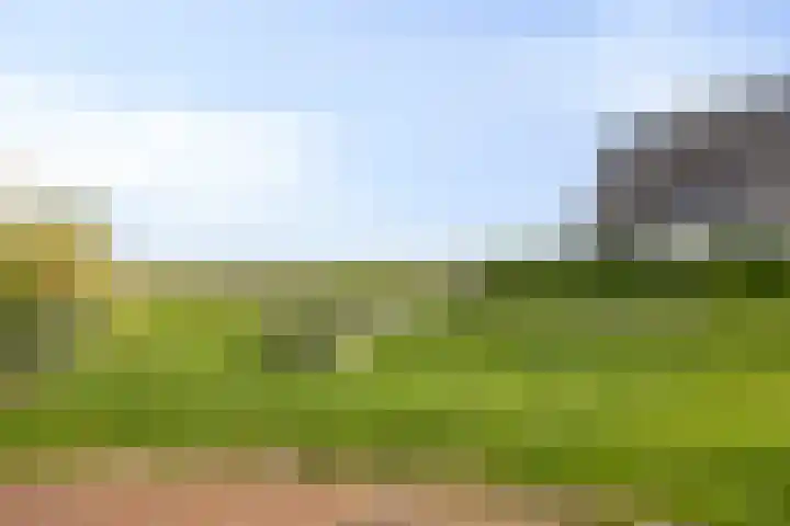 Walpen 4 Moerkapelle thumbnail 60