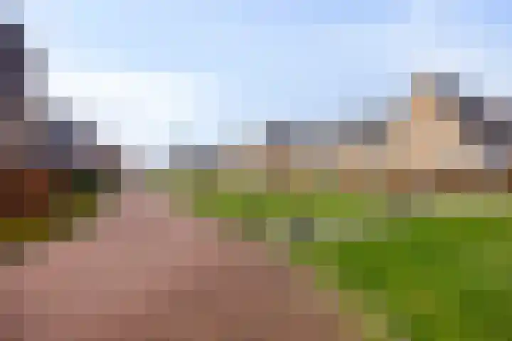 Walpen 4 Moerkapelle thumbnail 61
