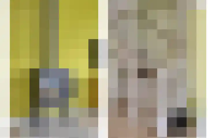 Walpen 5 Moerkapelle thumbnail 13