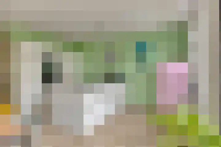 Walpen 5 Moerkapelle thumbnail 17