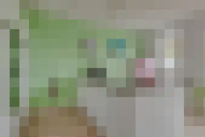 Walpen 5 Moerkapelle thumbnail 18