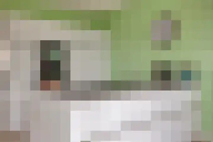 Walpen 5 Moerkapelle thumbnail 21