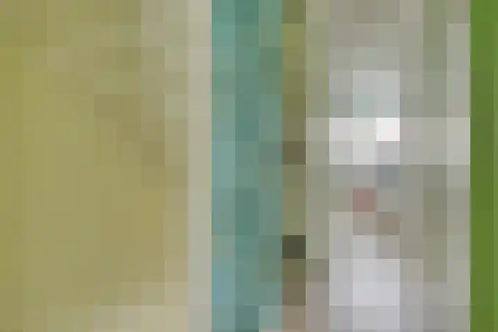 Walpen 5 Moerkapelle thumbnail 23